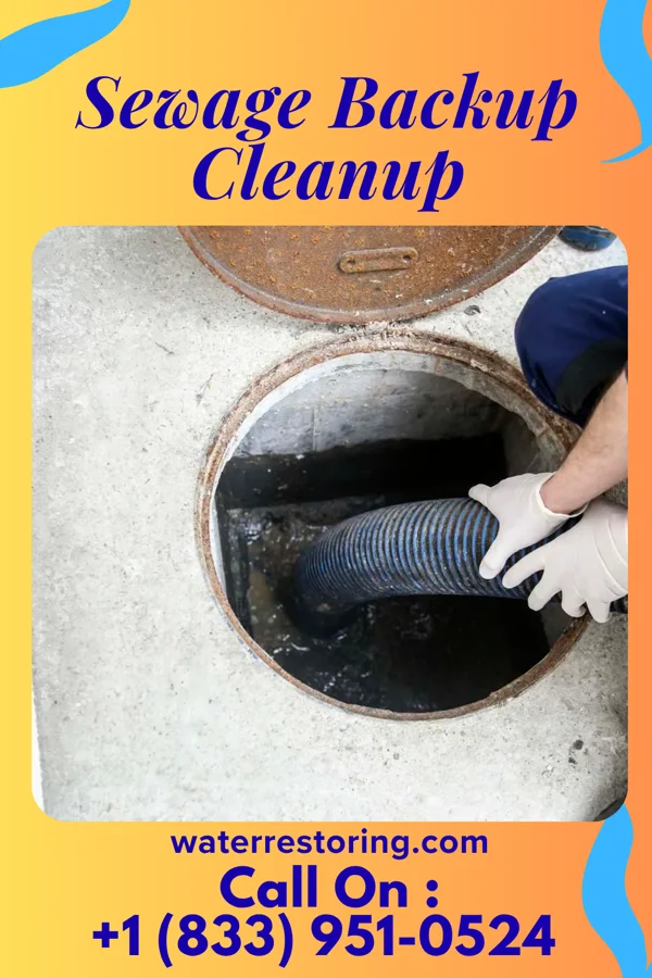 Sewage Backup Cleanup in Burnettsville, IN